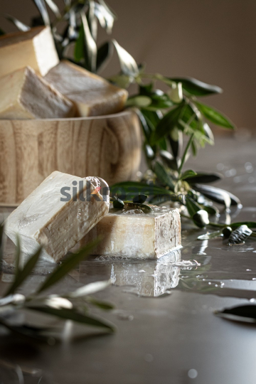 04-06-2024-5469-0037