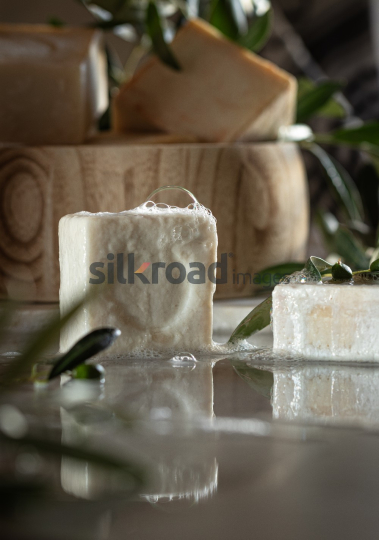 04-06-2024-5519-0043