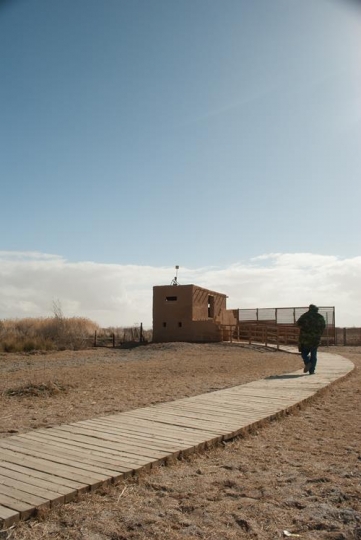Azraq Wetland Reserve