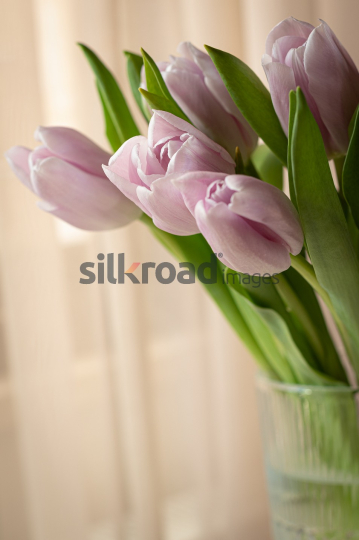 20-03-2024-5162-0056