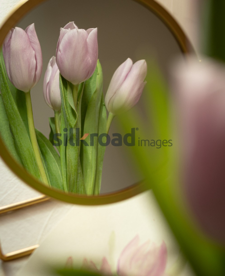 20-03-2024-5163-0057