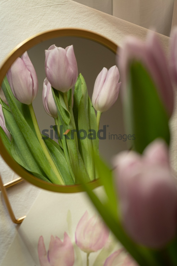 20-03-2024-5164-0058