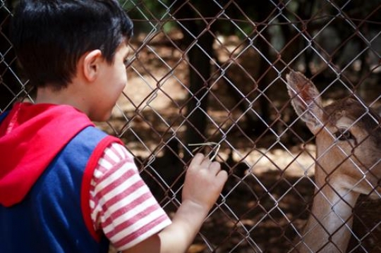 a little boy looking to Ghazal through a chain link fence