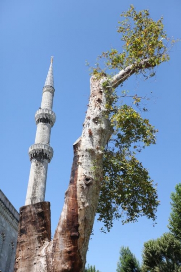 the blue mosque(Sultanahmet Camii),istanbul,turkey