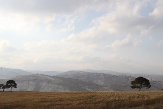 Landscape
