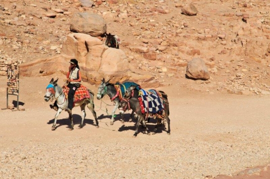 man riding donkey in the desert
