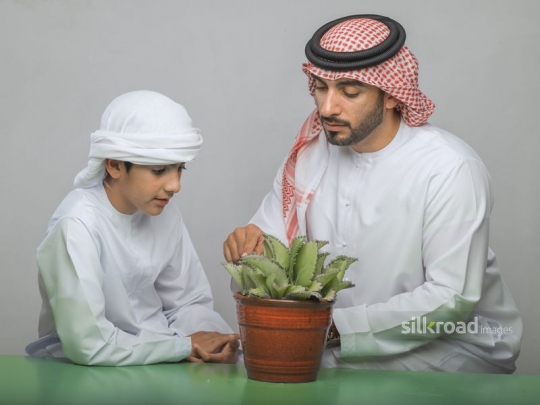 Boy and father observing a plant