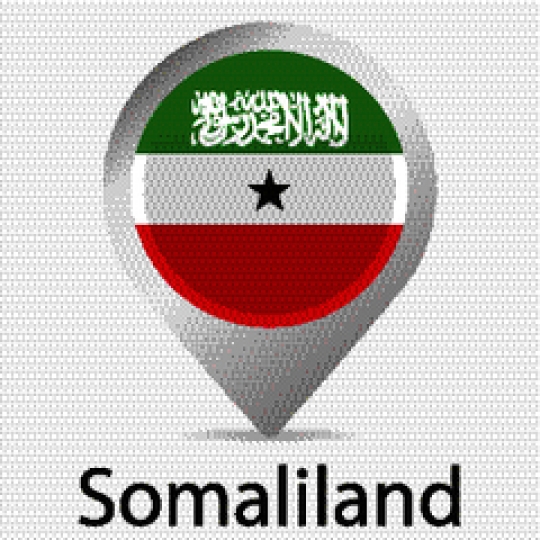 9ee58a7a-406d-4039-951f-327c96558470