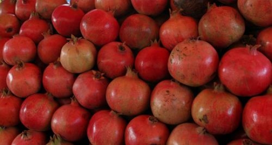 pomegranate