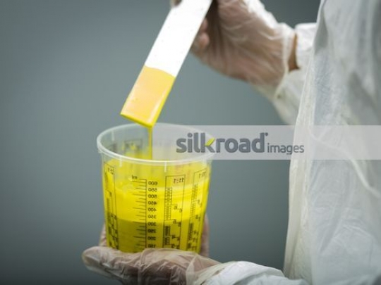 1804-ET-Fadil Workshop