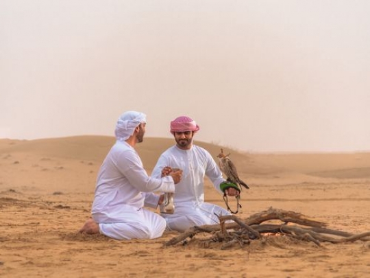 AZA2131dec7c5c9-9383-40a1-8ea8-12d9a6e5cbe1