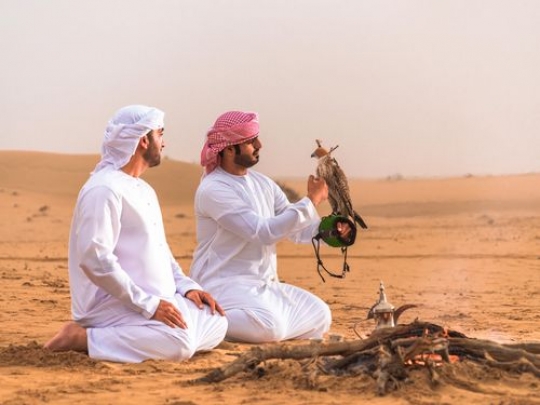 AZA2146b9c95f5d-20e6-41da-a6a5-a5892789216f