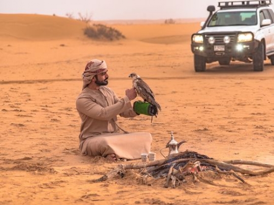 AZA2160ad5350b6-074f-4913-8516-5612a07c15a7