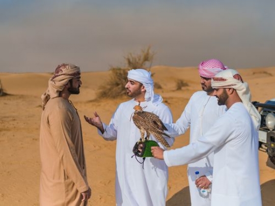 AZA22834ce948ce-11c8-4cae-a154-dfc77b1f0e0f