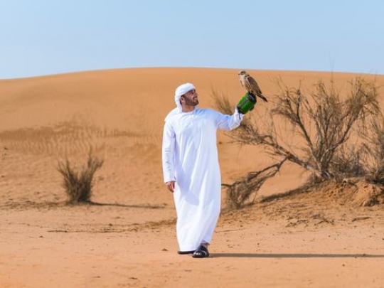 AZA233521539ce4-6936-42da-b350-e1629a1594e3