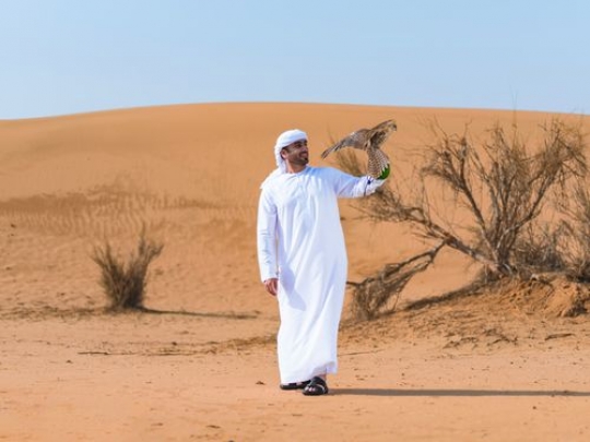 AZA2340382bc005-e721-4356-b50a-376cc81755d0