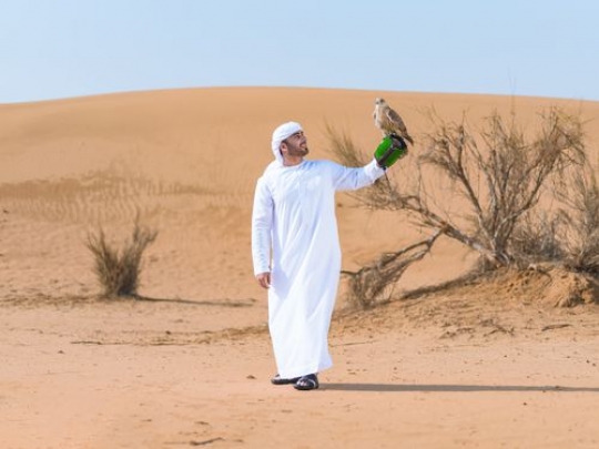 AZA2341a4e49ed4-7756-4941-97e6-5063c8933d78