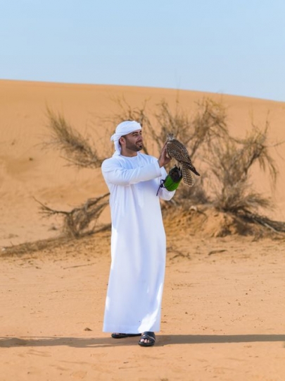 AZA23495e1addf7-7eb3-44c7-9800-7c0a8626622d