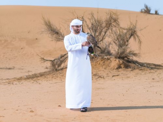 AZA2351b6f1199a-9d69-41b8-9f6e-ce066b756bc7