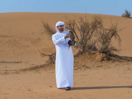 AZA23541df5937a-a750-4621-b7bf-35d23d202cce