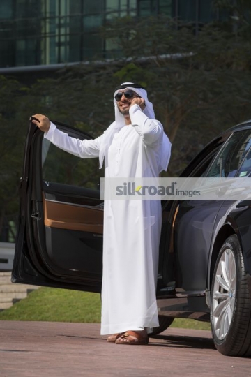 Businessman standing by his car talking on the phone|
