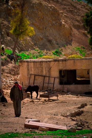 View of the town of Salt in Jo