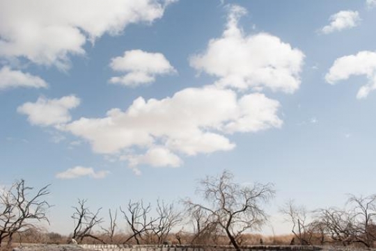 Azraq Wetland Reserve