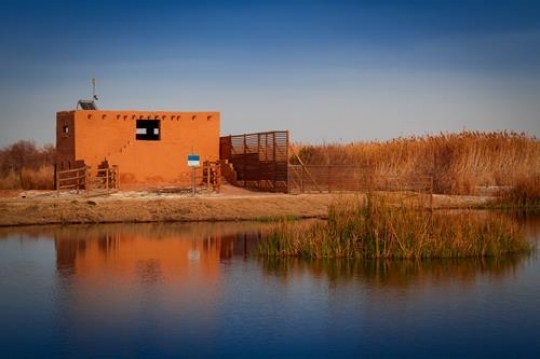 Azraq Wetland Reserve