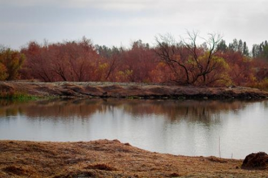 Azraq Wetland Reserve