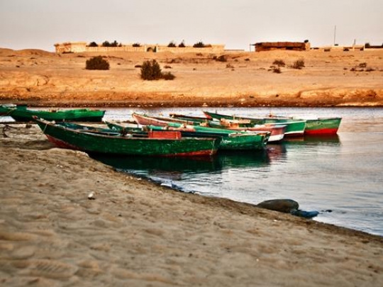 View at Al Fayoum 
