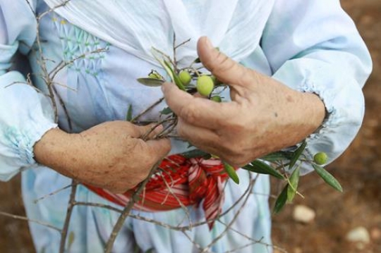 palestinian woman holding olive branch