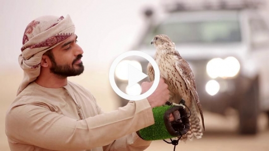 Young man caressing chest of falcon