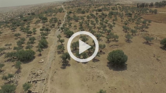 Jordan - Umm Qais|