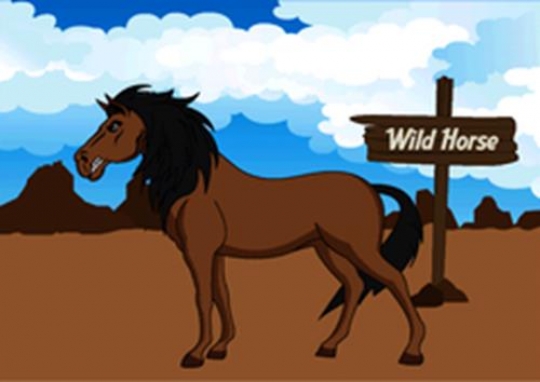 wild horse