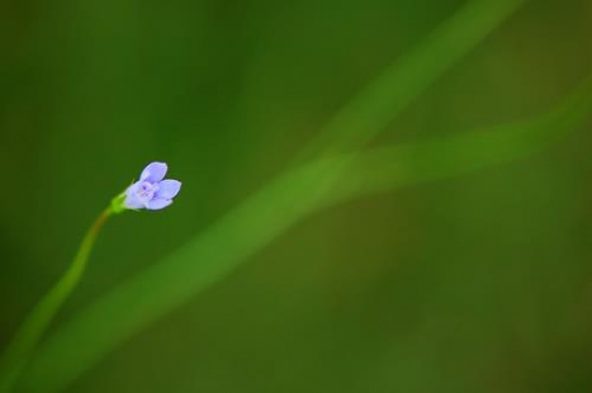 green background with a small 