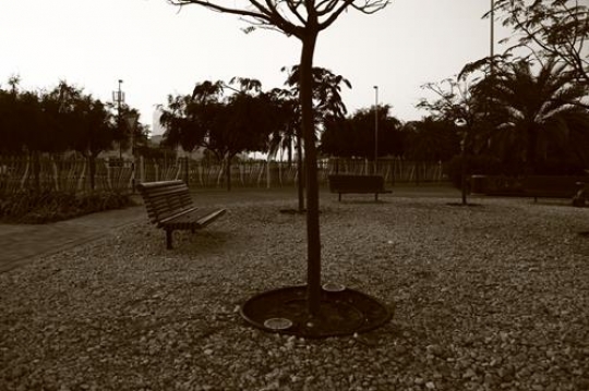 Bench in a park