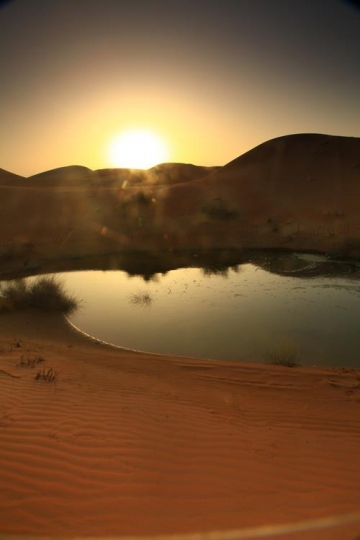 dessert oasis