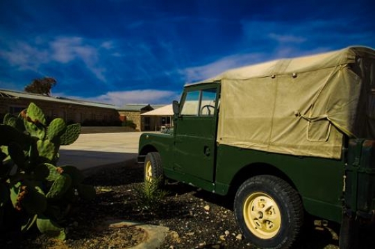 Jeep Car and cactus in Azraq 