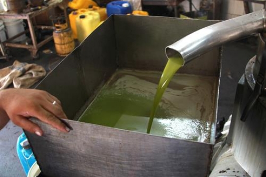 olive oil