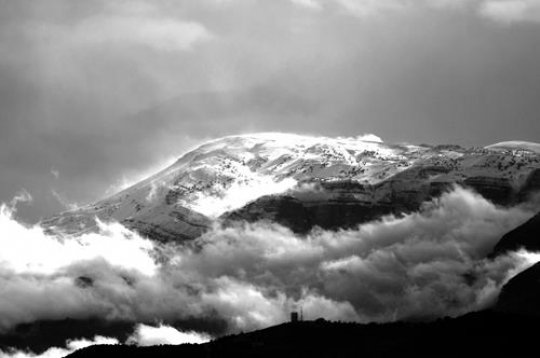 White Summit