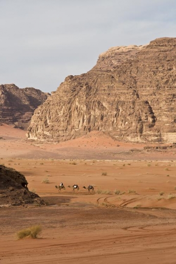 Wadi Rum desert  and mountains