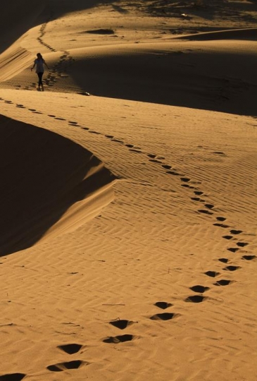 Alone in Desert