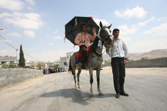horse
