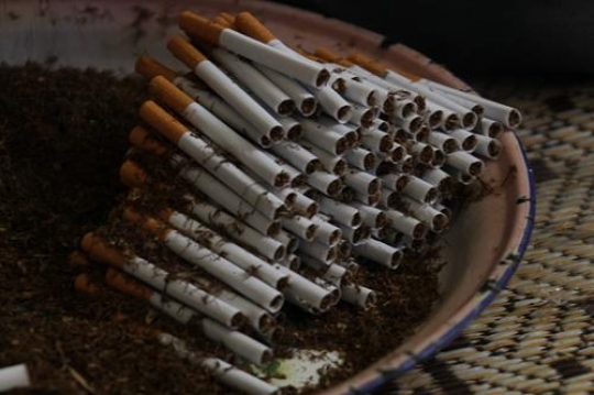 tobacco and cigarette