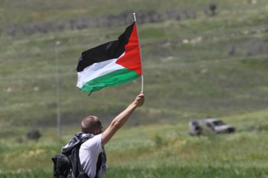 palestinian flag