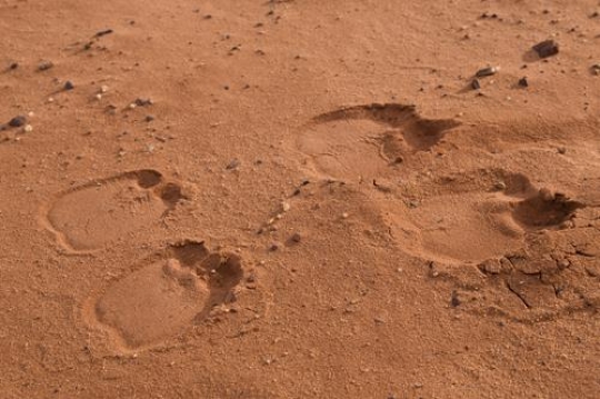 Strings of Footprints Embedded in the Desert