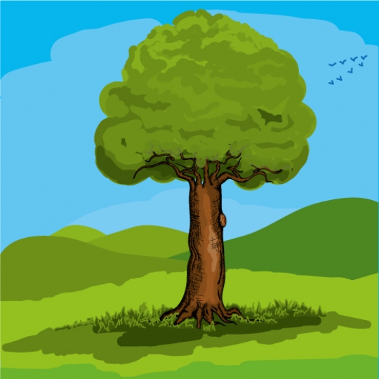 spring tree