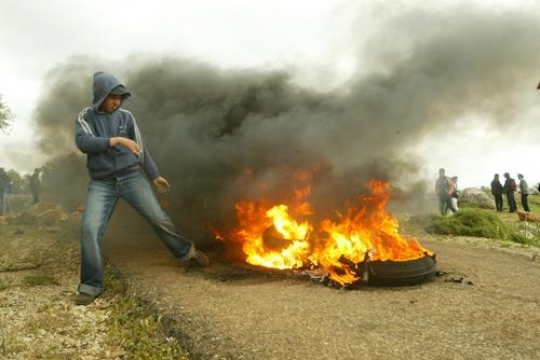palestinian youth fighter