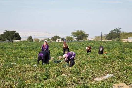 jordan valley
