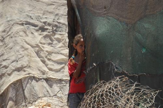 Refugee y
